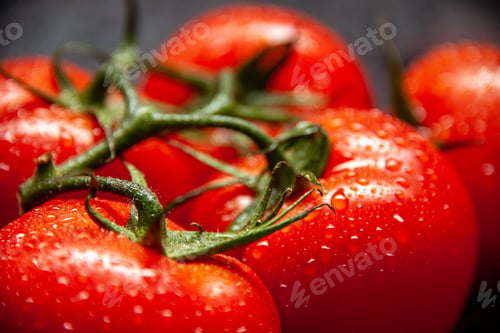 Preview: front close view fresh red tomatoes on a light background food color fresh vegetable dinner salad