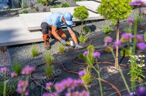 Preview: Gardener Installing Landscape Elements in a Modern Garden with Drip Irrigation