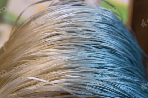 Preview: Close-up of silk thread produced by silkworms.