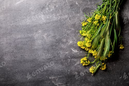 Preview: Flower Meadow Yellow and Green Spring