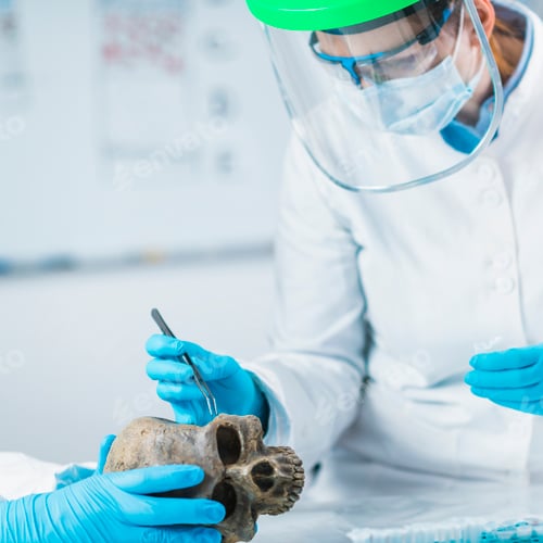 Preview: Bioarcheology. Archaeologist Analyzing Ancient Human Skull in Laboratory