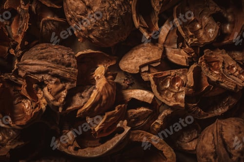 Preview: close up view of walnut husk as background