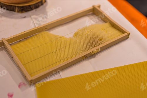 Preview: New frame with beehive wax isolated on white background