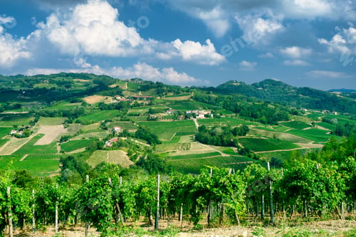Preview: Oltrepo Pavese (Italy), rural landscape at summer