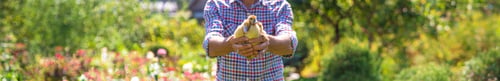 Preview: The farmer holds ducklings in his hands. Selective focus.