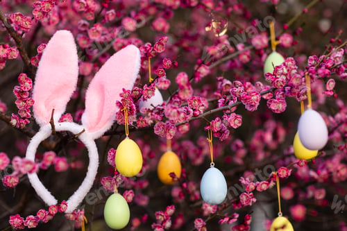 Preview: Easter holiday background with painted eggs and bunny rabbit ears on blooming tree branches