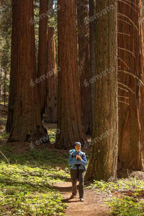 Preview: Mother With Infant Visit Sequoia National Park In California, Usa