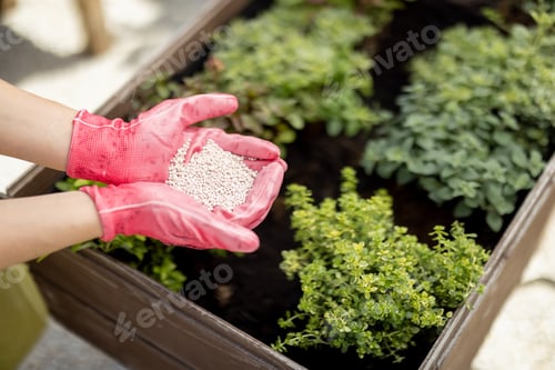 Preview: Gardener holds in hands mineral fertilizing, close-up