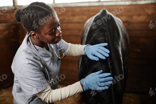 Preview: Black Young Woman as Veterinarian