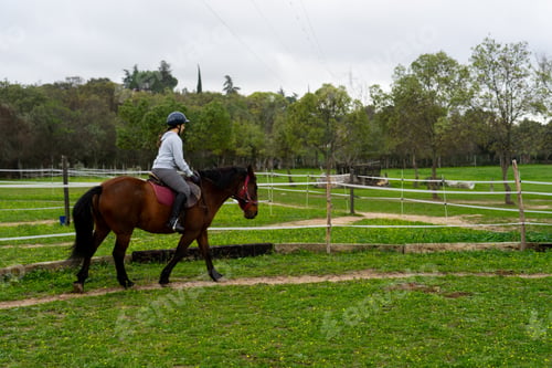 Preview: Woman riding horse outdoors in nature