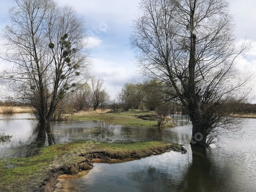Preview: nature in spring. river overflow