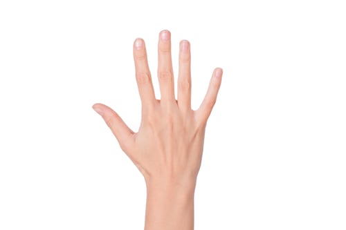 Preview: woman hand