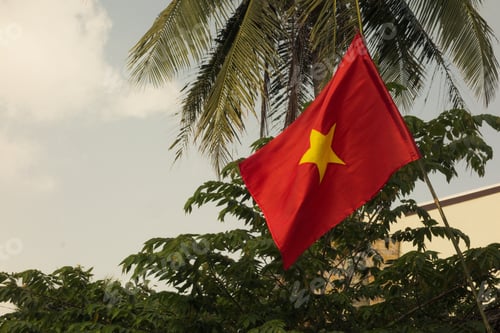 Preview: Vietnam flag near the beach