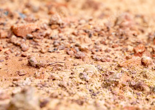 Preview: Close up view of brown wet soil contain several minerals and it is source of food