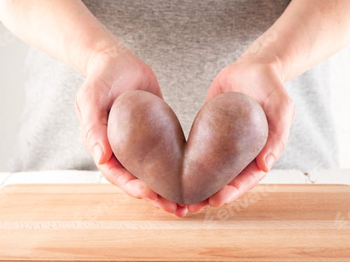 Preview: Women's hands hold potatoes in the shape of a heart the concept of vegetarianism love care