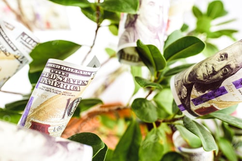 Preview: The green deal, source of income and economic benefits with the sustainable and ecological economy.