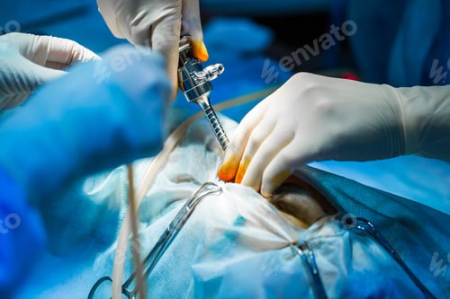 Preview: Veterinarian doctor in operation room for laparoscopic surgical take with art lighting.