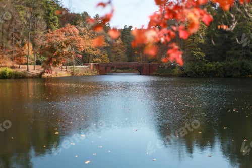 Preview: Beautiful shot of a small bridge on a lake seen through red leaves