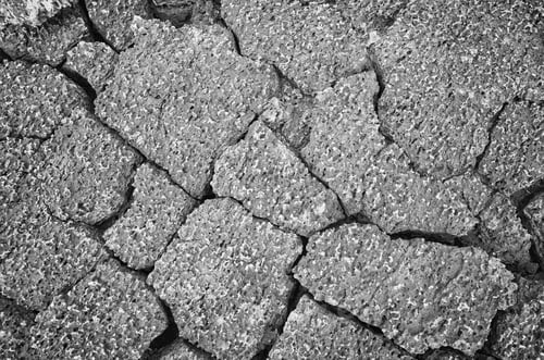 Preview: Black and white close up photo of volcanic rocks, nature background, Galapagos Islands, Ecuador.
