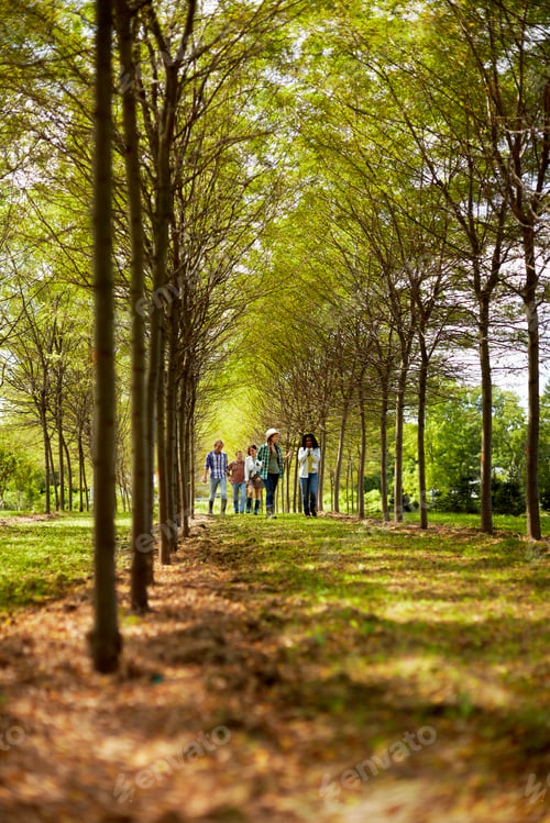 Preview: A group of friends walking down an avenue of trees in woodland.