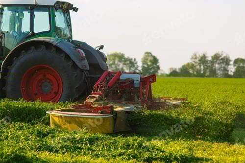 Preview: tractor harvesting hay for animals against the background of a field in the warm rays of the sun