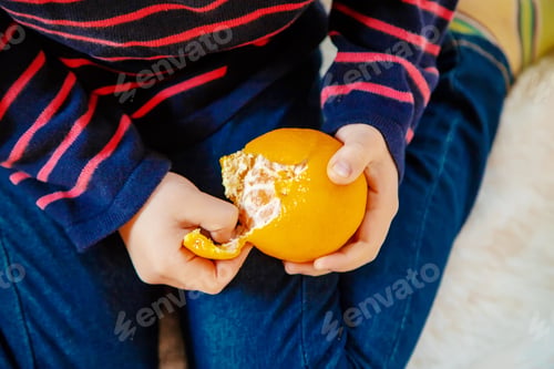 Preview: food