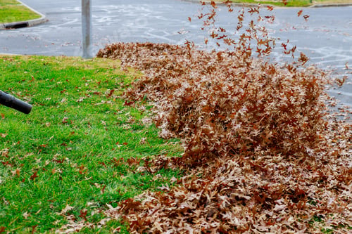 Preview: Autumn leaves on pavement and broom fall leaves with rake