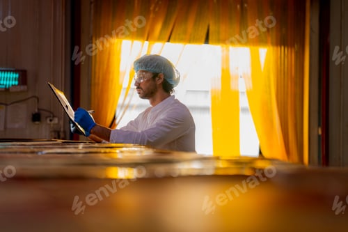 Preview: Industrial inspector performing a quality check on warehouse product