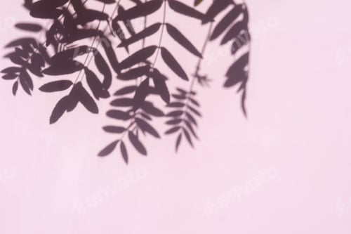 Preview: Abstract leaves shadow on pink background.