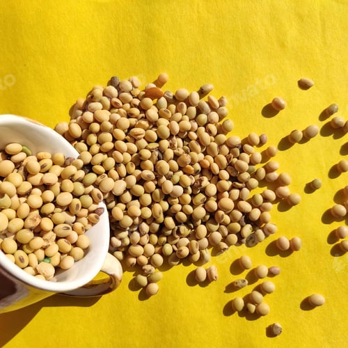 Preview: Top view of dried whole soybeans in a cup isolated on yellow background