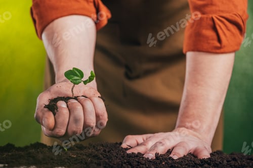 Preview: selective focus of man planting young green plant in ground on blurred background, earth day concept