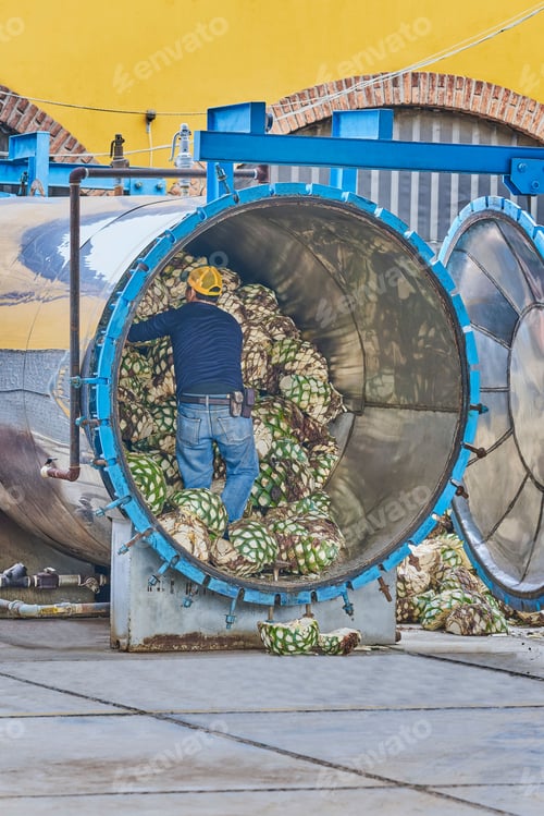 Preview: Man piling agave in oven ready to steam it