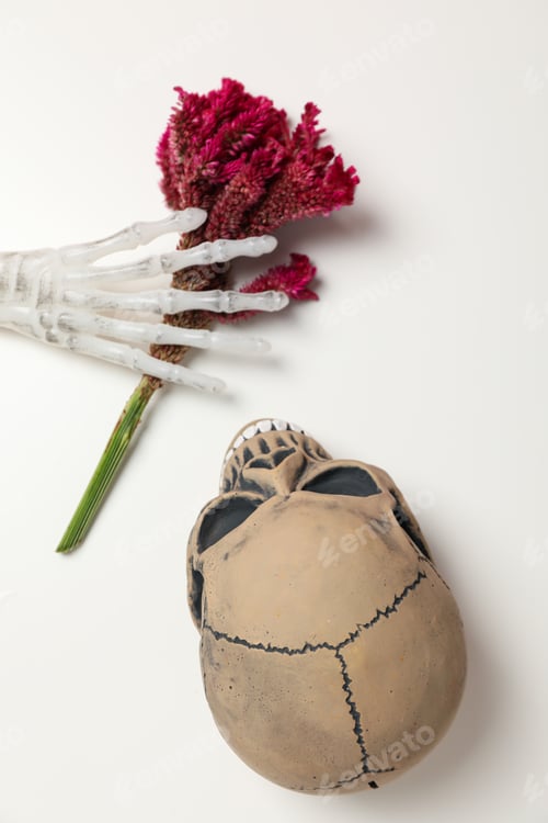 Preview: Bones and flower on white background, top view