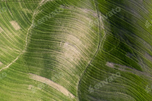 Preview: Aerial shot of the shapes of the cultivated fields