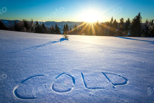 Preview: The inscription Cold on snow near forest