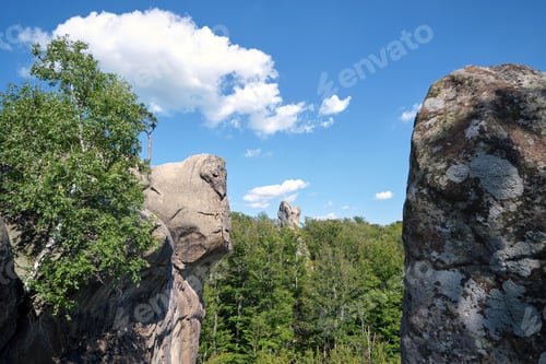 Preview: Huge rocky boulder formations high in mountains with growing trees on summer sunny day
