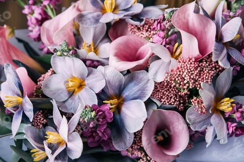 Preview: Red pink orange Autumn Colorful fall bouquet.
