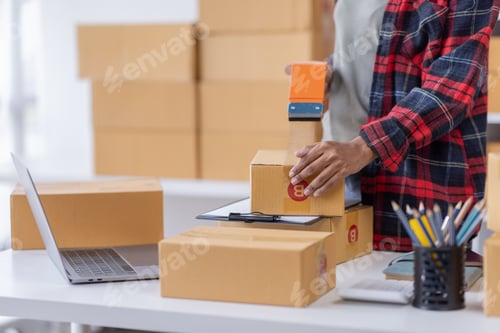 Preview: Portrait of Young African American business woman SME e-commerce employee sitting at home full of pa