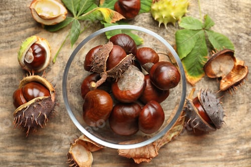 Preview: Horse chestnuts on wooden table, flat lay