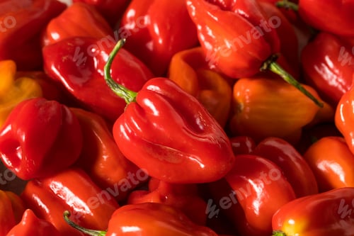 Preview: Raw Red Organic Habanero Peppers