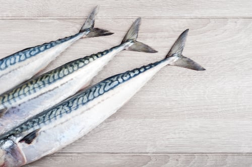 Preview: Raw fresh fish mackerel closeup on wooden background
