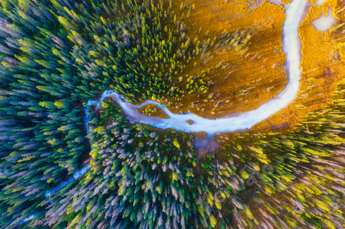Preview: An aerial view of an autumn forest. Winding river among the trees.
