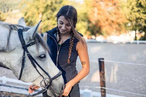 Preview: copyspace Young woman rider feeds a treat to her horse after training at the ranch at sunset