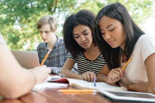 Preview: Multiethnic group of young students sitting and studying