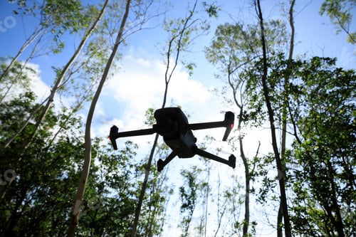 Preview: Flying drone in summer forest