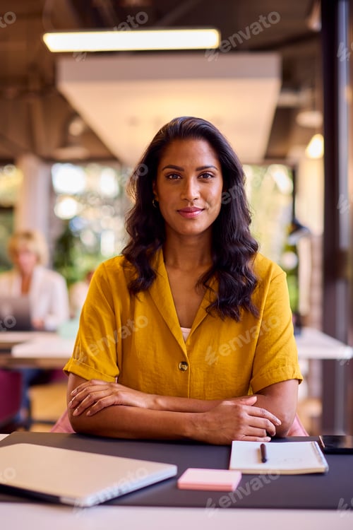 Preview: Portrait Of Mature Businesswoman With Laptop And Notebook At Desk In Office