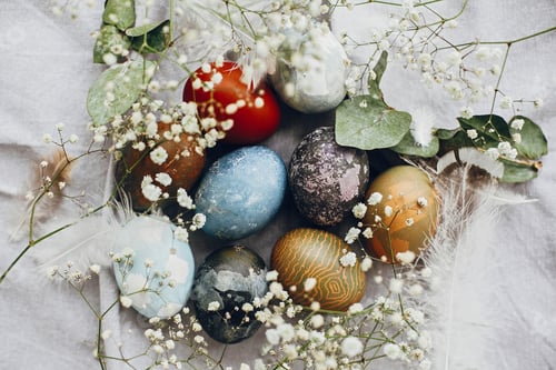 Preview: Natural dyed colorful easter eggs with spring white flowers