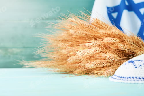 Preview: Shavuot jewish background. Ripe bouquet of wheat with blue ribbon against the background of Israeli
