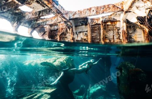 Preview: Diver swimming in a shipwreck