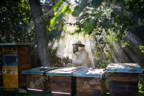 Preview: Portrait of man beekeeper working in apiary, using bee smoker